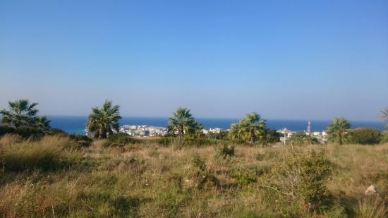 Pythian Temple of Apollo